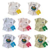 【hot sale】 ✹❁❅ C10 Newborn Baby Girls Boys Cotton Short Sleeve T-shirt Shorts Set Clothing