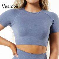 【CW】 Women  39;s Seamless Shirts Short Sleeve T-shirt Crop Top T-shirts Workout Wear Sportwear