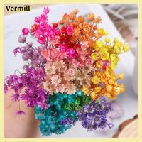 VERMILL 30pcs สดใส การตกแต่งบ้าน อุปกรณ์จัดงานแต่งงาน ดาวดวงเล็ก มินิเดซี่ ดอกไม้ประดิษฐ์ ช่อดอกไม้