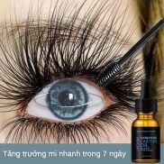 Tinh dầu dài mi ,dậm lông mày, mi dài Tinh chất mọc mi Tinh chất dưỡng mi
