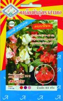 เทียน Impatiens Flower คละสี ขาว ชมพู บานเย็น ม่วง เมล็ดพันธุ์ดอกไม้ ตราสามเอ