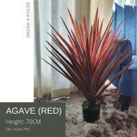 Agave Red 70CM - ต้นอากาเว่ สีแดง สูง 70 ซม. ต้นไม้ปลอมเกรดพรีเมี่ยมเพื่อการตกแต่ง ต้นไม้ประดิษฐ์ Premium Artificial Plant for home decoration #REDAGAVE #REDPLANT #มาดามขจี