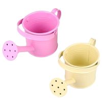 Metal Watering Can, , Children Iron Watering Tin Sprinkling Kettle for Garden Home Plants Flower