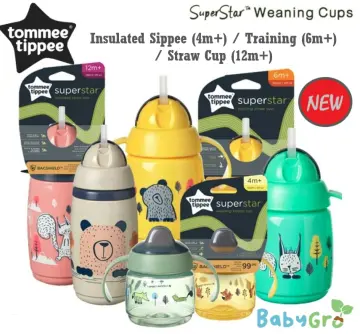 Tommee Tippee Closer to Nature Insulated Training Straw Cup 260ml