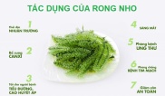Rong nho tách nước Khánh Hòa ăn liền, sản phẩm organic