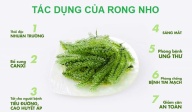 Rong nho tách nước Khánh Hòa ăn liền, sản phẩm organic thumbnail
