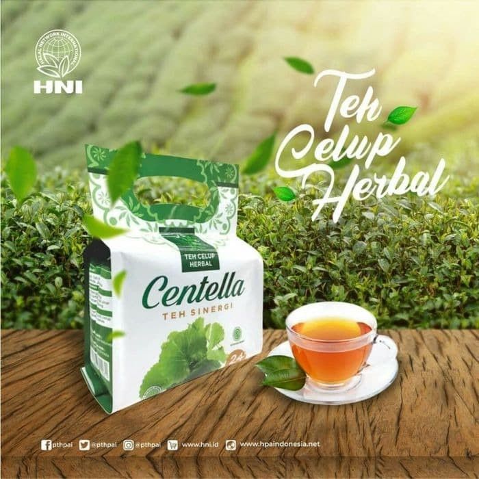 Centella Teh Herbal Sinergi HNI HPAI - pelangsing tubuh | Lazada Indonesia