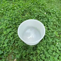 10inch 432hz tuned cdefgab bowl note chakra white crystal singing bowl for sound therapy healing