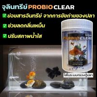 จุลินทรีย์ผง ปรับสภาพน้ำ ใส่ระบบกรองตู้ปลา PROBIOCLEAR Medifish