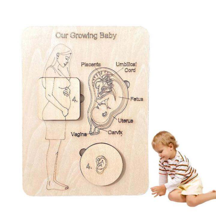 Wooden Peg Puzzle For Toddlers Toddler Puzzles With Unique Pregnant