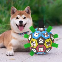 Dog Toys Interactive Pet Football Toys with Grab Tabs Dog Outdoor Training Soccer Toys Pet Bite Chew Balls for Dog Accessories Toys