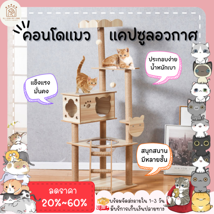 คอนโดแมว-คอนโดแมวถูกๆ-ไม้ทั้งหลัง-มีหลายแบบ-บ้านแมว-ที่ลับเล็บแมว-คอนโดแมวราคาถูก-พร้อมส่งจากไทย-มีประกัน