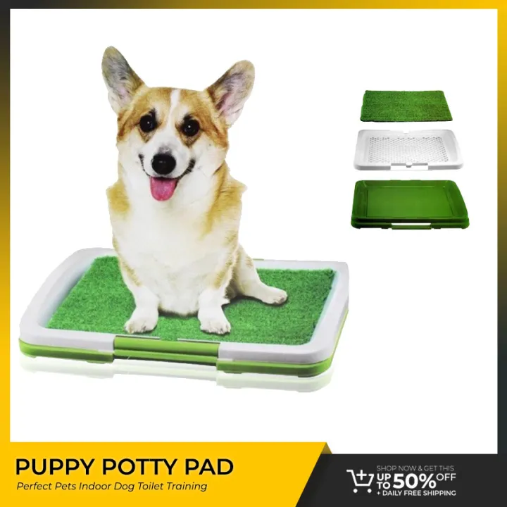ONELINE Puppy Potty Pad Perfect Pets Indoor Dog Toilet Training