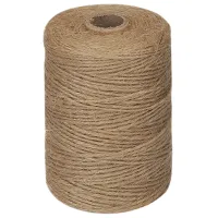 200M/ Roll 2mm Jute Twine Natural Thick Brown Twine for Home Gardening Plant Picture Hanger Industrial Packing String