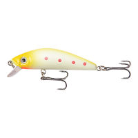 1PCS 7.6cm 8g Tackle Hard Bass Plastic Kit Crankbait Minnow Fishing Lure