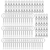 100X Key Chain Swivel Hook Set Keychain Hardware Lobster Clasp Hook Key Chain Clip Hook for Key Chain Rings