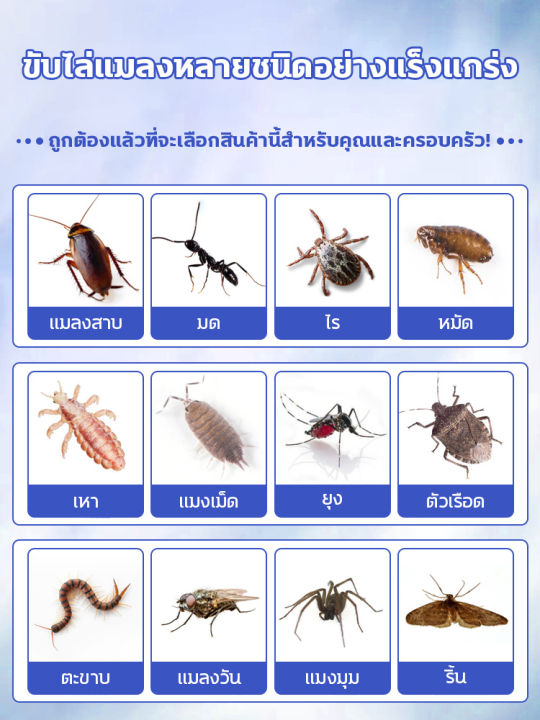 คุณภาพญี่ปุ่น-lpp-1ฟรี2-กำจัดแมลงสาบ-กับดักแมลงสาบ-ล่อแมลงสาบ-อัตราการขับไล่แมลงสาบ-100-เจลกำจัดแมลงสาบ-ยาฆ่าแมลงสาบ-peter-man-ปีเตอร์แมน-กับดักแมลงสาบ-ยาฆ่แมลงสาบ-กำจัดแมลงสาบ-ฆ่าแมลงสาบ-เจลหอมกำจัดแ