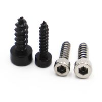 M2 M2.6 M3 M3.5 M4 M5 M6 Hexagon Hex Socket Cap Head Self Tapping Screw 8.8 Grade Black/Stainless Steel Allen Screws for Speaker