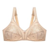 Summer Women Backless Bra Minimizer Large Size 80 85 90 95 100 105 110 115 120 C D E F G Cup Invisible Bra Top Sexy Lace BH C12