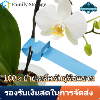 【Clearance】【ถูกๆ】Hanging Seed Name Tag 100 ชิ้นพลาสติกเนอสเซอรี่อุปกรณ์ตกแต่งสวนแถบป้ายเสาป้ายประดับสนามหญ้า