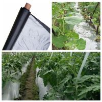 【CC】 50m 0.012mm Orchard Fruit Silver-Black Plastic Film Garden Greenhouse Reflective Weed Silvery Mulch