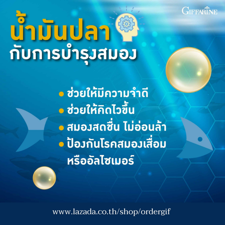 น้ำมันปลา-fish-oil-โอเมก้า3-ดีเอชเอ-ไขมันในเลือด-สมอง-ข้อเข่า-กิฟฟารีนของแท้