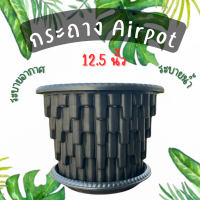 รุ่นใหม่ Airpot กระถางปลูกสายเขียว กระถางเร่งราก สีดำ ขนาด 12.5 นิ้ว