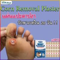 South Moon Wart &amp;Corn remover pads แผ่นแปะตาปลา พลาสเตอร์ติดตาปลา wart พลาสเตอร์ตาปลา แผ่นแปะลอกหูด ตาปลา ใช้ง่าย กล่อง 12 ชิ้น