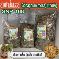 สแฟกนั่มมอส มอสขาว (Sphagnum Moss) ขนาด 50 กรัม อุ้มน้ำดี กักเก็บความชื้น วัสดุปลูกคุณภาพสูง