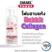 150 mL smael Rabbit Collagen Mousse มูสโฟมอาบแห้ง ดับกลิ่นตัวหมาแมว สัตว์ลี้ยงที่มีขนทุกชนิด มูสโฟมหอมมาก อาบสะอาด บำรุงขน ลดอาการคัน ไม่มีสี แชมพูกระต่าย แชมพูแห้งกระต่าย แฮมเตอร์ Foam Shampoo S005 FKA