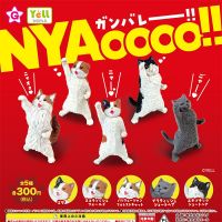 Spot all 5 kinds of Japanese genuine yell gashapon NYAoooo cheering cat three-haired animal ornaments