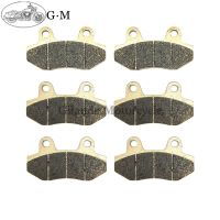 Motorbike Motorcycle Front / Rear Brake Pads For HYOSUNG GT 250 R Carbs GT250 I R Comet GT650 Naked GT650 R GT 650 S