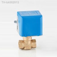 ✲❄ 1/2 Motorized Electric Brass Globe Valves 2 Wire AC 220V Two Way Stop Shut-off Valve