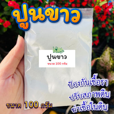 ปูนขาว 100กรัม 🍃กันเชื้อรา ปรับสภาพดิน และฆ่าเชื้อในดิน โดโลไมท์ homes