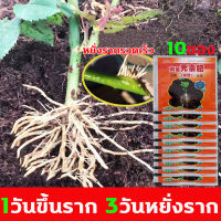 OYJ ซื้อ1ส่ง10 น้ำยาเร่งราก ผงเร่งราก ยาเร่งราก 1วันขึ้นราก 3วันหยั่งราก ใช้ได้พืชทุกชนิด อุดมไปด้วยไนโตรเจน ฟอสฟอรัส และโพแทสเซียม ส่งเสริมการเจริญเติบโตของรากพืช ปรับปรุงภูมิคุ้มกันของพืช แก้ปัญหาเช่นรากเน่า ใบตาย และดอก ไม้ตาย น้ำยาเร่งราก b1