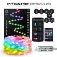 5V Powered USB Smart Colorful Horse Racing Streamer LED Light String Outdoor Waterproof Sound-Controlled Atmosphere Leather Line RGB Light Strip 【SEP】