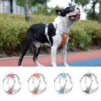 Dog Harness With Leash Adjustable Vest Walking Supplies Soft Breathable Pet Accessories For Chihuahua Pug Small Puppy Dog Lead