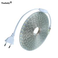 【▼Hot Sales▼】 na07037036036666 แถบไฟ Led Ip67กันน้ำ Smd 5050สาย Led ยืดหยุ่น Ac220v ปลั๊กไฟ Eu 60Leds/M 1M 2M 3M 5M 10M 15M ไฟ Led สำหรับในร่มและกลางแจ้ง