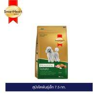 ส่งฟรี??สมาร์ทฮาร์ท โกลด์ โฮลิสติก สุนัขโตพันธุ์เล็ก 7.5กก./SmartHeart GOLD Holistic Adult Small Breed 7.5kg