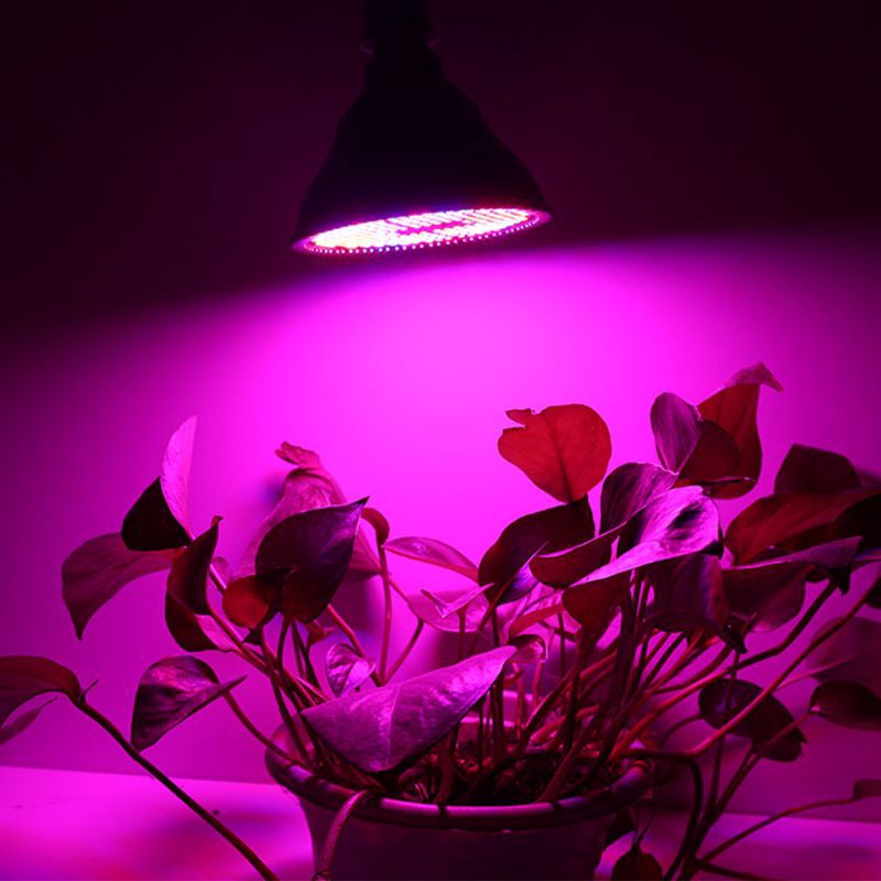 80/50/18W LED Grow Light E27 Lamp Bulb for Plant Hydroponic Full Spectrum New 