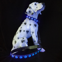 Led Dog Collar And Leash Dog Usb Charging Walking At Night Safety Collar Luminous Cat Collar Accessories Supplies