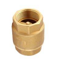 1/2 3/4 1 BSP Brass Female Thread Vertical Lift In-Line Spring Check Valve One Way Non-return Valve For Wate