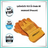 ถุงมือหนังวัว 10.5 นิ้ว Grade AB เพรสคอตต์ (Prescott)