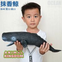 Animal Kingdom - โมเดล Whale ปลาวาฬ สเปิร์ม ขนาด 41.00 CM แบบนิ่ม (จากสงขลา)