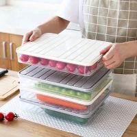 Refrigerator Food Fresh-keeping Box / Egg Dumpling Organizer Box with Lid / Fridge Container Drawer Storage Boxes 5211028♟