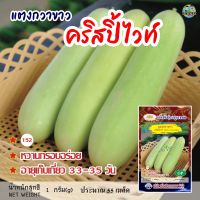 เมล็ดแตงกวาขาว คริสปิ้ไวท์ White Cucumber ตราภูเขาทอง เมล็ดพันธุ์แตงกวาขาว เมล็ดพันธุ์ผัก เมล็ดพันธุ์ผักสวนครัว เมล็ดแตงกวา เมล็ดพันธุ์แตงกวา