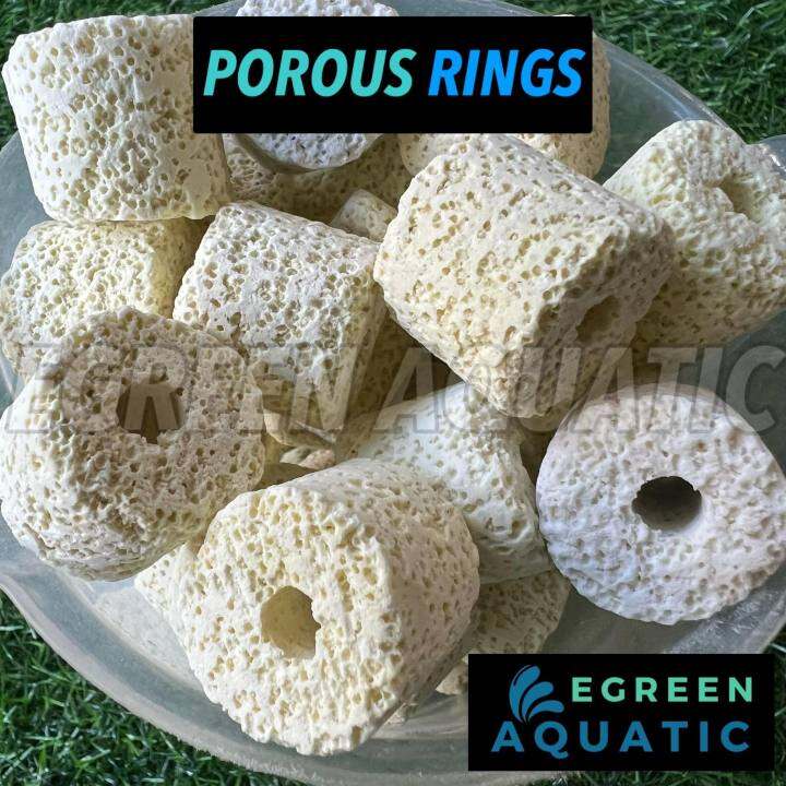 Porous Ring 12pcs Aquarium Bio Filter Media Lazada PH