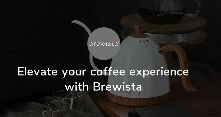 Brewista 600ml Stainless Steel Coffee Tea Maker Double Wall Smart WifiFast  Heat Transfer Electric Kettle