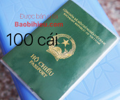 COMBO 100 vỏ bao hộ chiếu (passport) dẻo trong có khe đựng vé máy bay và các loại thẻ 100B132