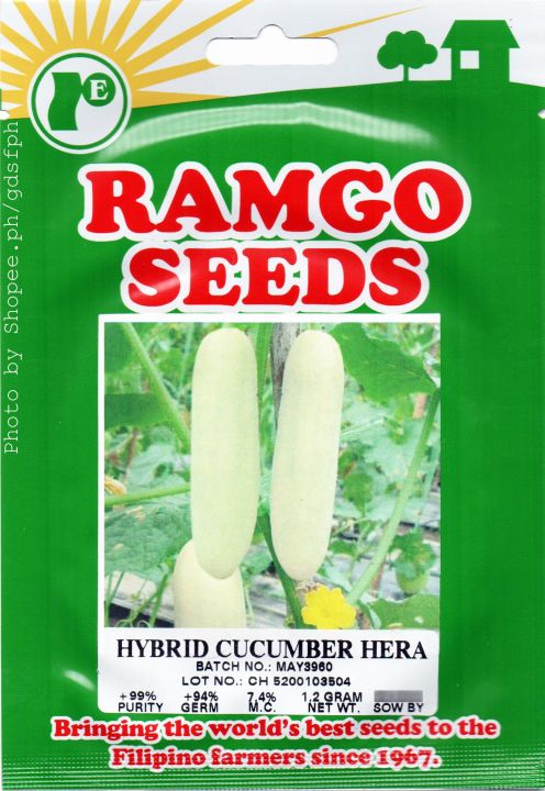 Ramgo RPD Hybrid Cucumber Hera Seeds 1.2gram | Lazada PH